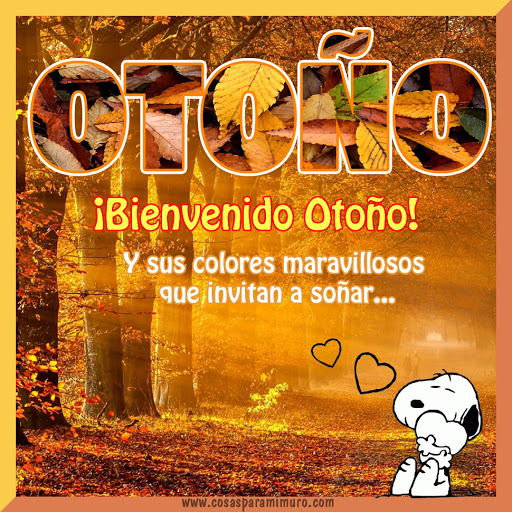 Bienvenido Otoño.