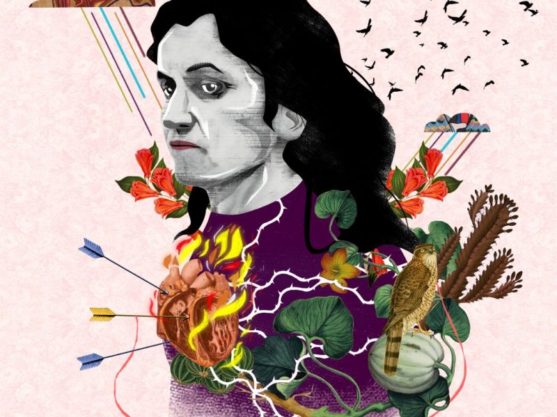 Gracias a la vida: Violeta Parra